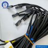 Cảm Biến CS4MA